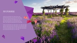 PPT şablonu_(Hayal gücü alanı)