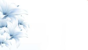 Plant PPT: Lily Template