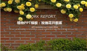 Plant PPT template: rose flower pattern