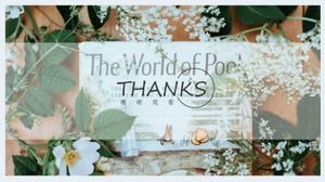 ชีวิตพื้นหลัง PPT แม่แบบดาวน์โหลดแพคเกจ