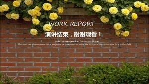 Modello di presentazione dinamica - Belle immagini