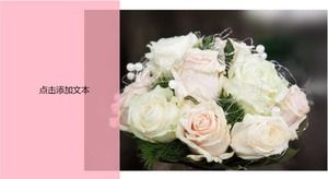 2011情人節模板免費下載