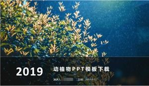 動物と植物のPPTテンプレートのダウンロード