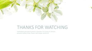 美しい緑の野生の菊の背景PPTテンプレート