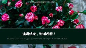 Romantik PPT şablonu indir_güzel bitkiler