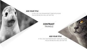 Armee-Hintergrund PPT-Vorlage herunterladen