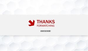 Modelo de ppt de plano de negócios de pet shop