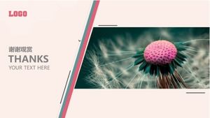 크리 에이 티브 자유형 비즈니스 일반 ppt 템플릿