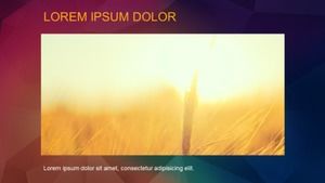 ios style flat ppt template