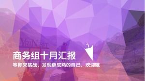 E-commerce summary report ppt template