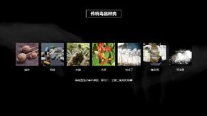 Anti-Drogen-Aufklärungs- und Werbeaktivitäten ppt-Vorlage