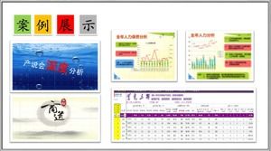 Șablon ppt de raport de lucru pentru perioada de probă