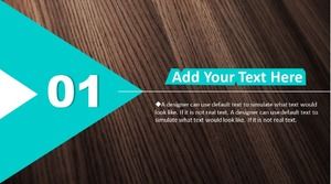 Șablon ppt rezumat personal pentru sfârșitul anului nou venit