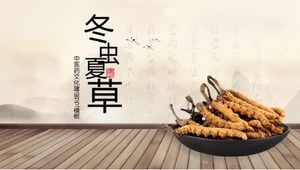 Modèle ppt de construction de la culture de la médecine chinoise