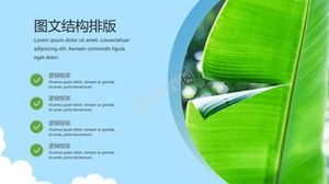 Kleine frische aquarellgrüne Arbeitsplan-ppt-Vorlage