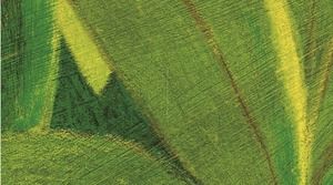 Klub bajek dla dzieci z książką z obrazkami Pan Kapelusz i jego szablon ppt kajaka