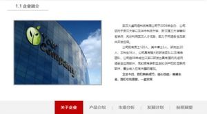 Шаблон п.п. продвижения продукта одежды