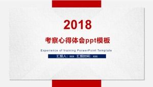 Esperienza di ispezione e modello ppt di esperienza