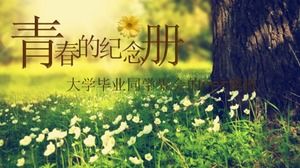 Modello ppt di riunione del compagno di classe di laurea