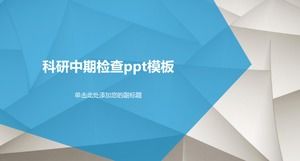 Шаблон п.п. среднесрочной инспекции исследований