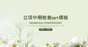 Templat ppt inspeksi jangka menengah proyek