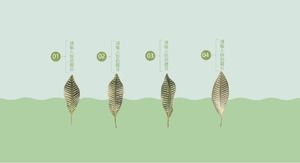 Șablon ppt de caz de marketing de baschet