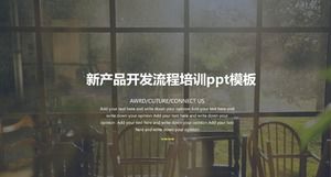 Шаблон п.п. обучения процессу разработки нового продукта