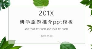 Шаблон п.п. по продвижению исследовательского туризма