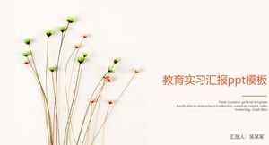 Education practice report ppt template