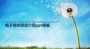 PPT-Vorlage für die Einführung von E-Commerce-Projekten