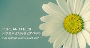 Modelo de ppt de lição de casa de orientação de emprego de estudantes universitários