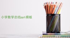 เทมเพลต ppt สรุปคณิตศาสตร์ระดับประถมศึกษา