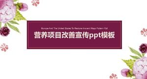 營養項目改善宣傳ppt模板