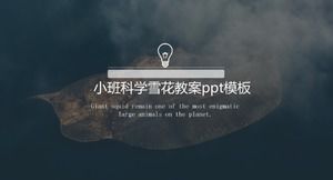 Küçük sınıf bilim kar tanesi ders planı ppt şablonu