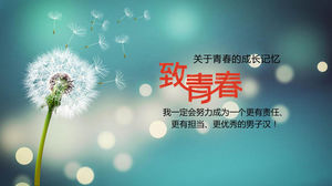 Fundo de dente de leão fresco e bonito para o modelo de PPT de álbum de formatura da juventude