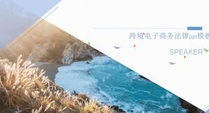 Modello ppt legale per e-commerce transfrontaliero