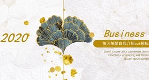 Plantilla ppt de autointroducción de Flash Cool