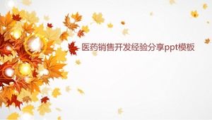 医药销售发展经验分享ppt模板