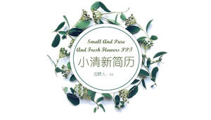 PPT-Vorlage zur Selbsteinführung des Senior Professional Title