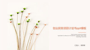 Ppt-Vorlage für einen preisgekrönten unternehmerischen Projektplan