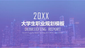 WPS 경력 계획 PPT 템플릿