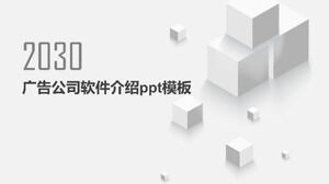 Шаблон п.п. введения программного обеспечения рекламной компании
