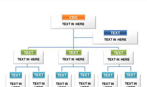 블루 오렌지 3 계층 조직도 PPT 템플릿
