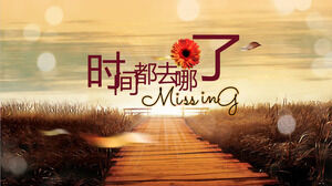 시간은 어디로 갔습니까 PPT 앨범 템플릿 2