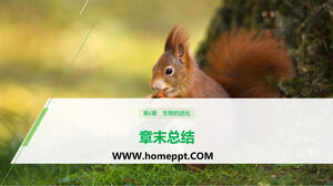 People's Education Edition High School Biology Compulsory 2 "บทที่ 6 สรุปบทวิวัฒนาการทางชีวภาพ" เทมเพลต PPT ของบทเรียน