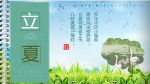 Fresh illustration wind Lixia solar term introduction PPT template