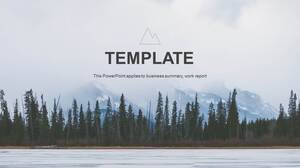 회색 심플한 패션 유럽과 미국 스타일의 PPT 템플릿