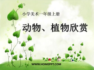 Plantilla PPT del material didáctico "Apreciación de animales y plantas" de Arte de grado 1 de Edición de educación popular