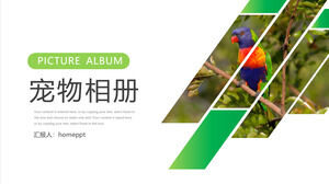 Kreatywny uroczy szablon albumu fotograficznego dla zwierząt domowych PPT