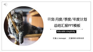 かわいいペット月間年間計画まとめ報告書PPTテンプレート